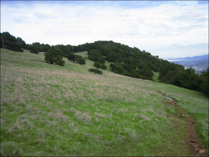 2005-01-29 Burdell (10) Look back at summit